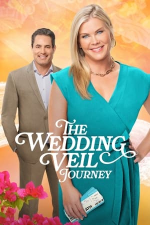 The Wedding Veil Journey 2023 BRRip