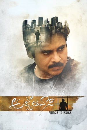 Agnyaathavaasi - Yevadu 3 2018 Hindi Dubbed