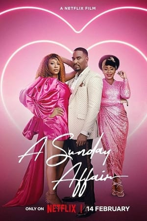 A Sunday Affair 2023 BRRip