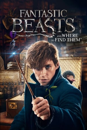 Fantastic Beasts and Where to Find Them 2016 Dual Audio