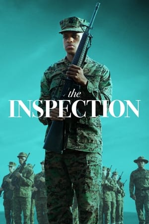 The Inspection 2022 BRRip