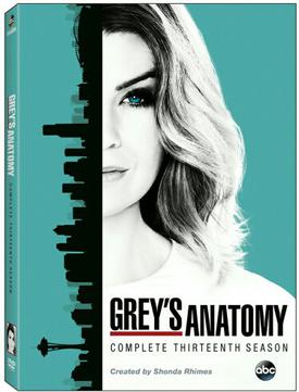 Grey's Anatomy Season 13
