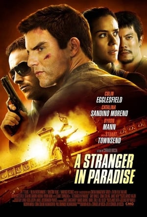 A Stranger in Paradise 2013 Dual Audio