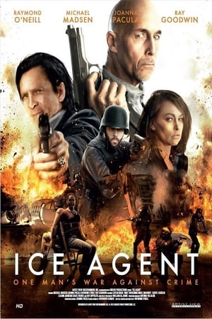ICE Agent (2013) Dual Audio Hindi