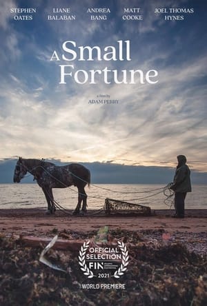 A Small Fortune 2021 BRRIp