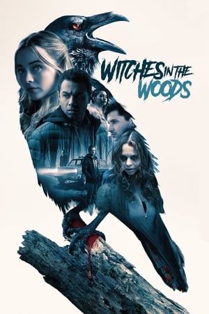 Witches in the Woods 2019 Dual Audio