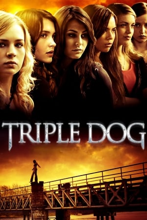 Triple Dog 2010 BRRip