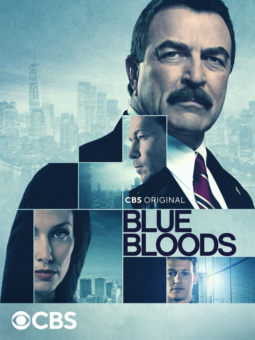 Blue Bloods Season 11