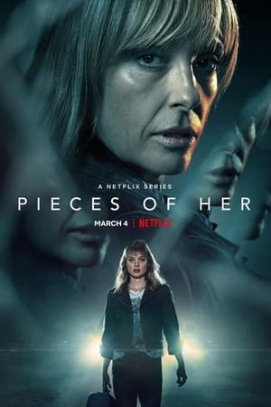 Pieces of Her Season Dual Audio