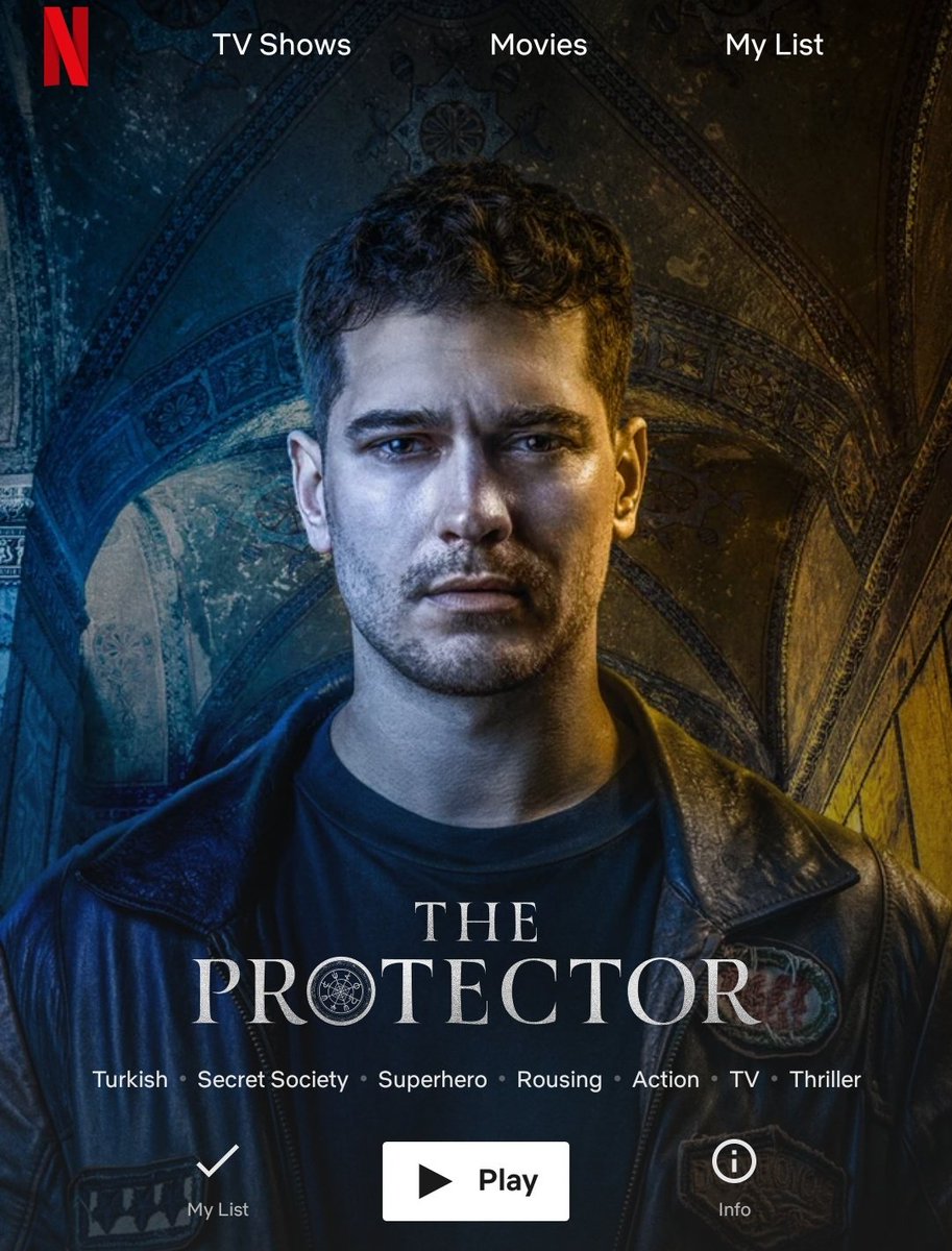 The Protector S02 Dual Audio Hindi