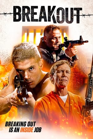 Breakout 2023 BRRip