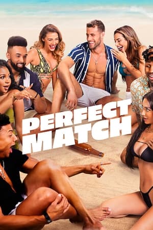 Perfect Match 2023 S01 Hindi - English