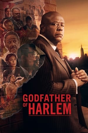 Godfather of Harlem S03 English