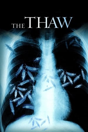 The Thaw 2009 Dual Audio