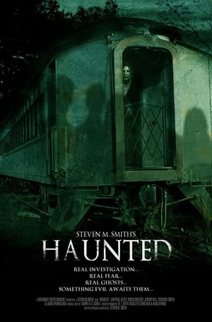 Haunted 2013 Dual Audio