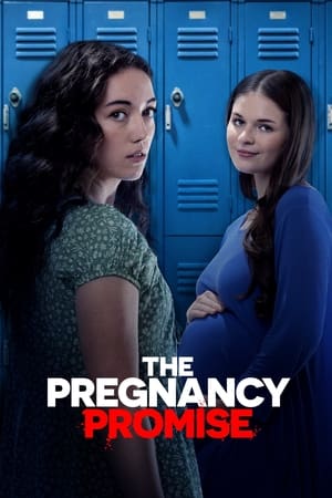 The Pregnancy Promise 2023 HDRip