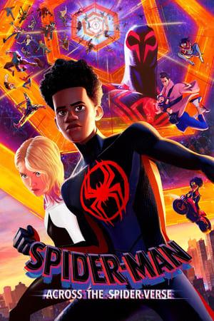 Spider-Man: Across the Spider-Verse 2023 Dual Audio