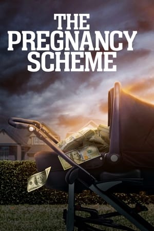 The Pregnancy Scheme 2023 HDRip