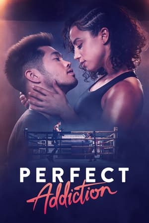 Perfect Addiction (2023) Dual Audio Hindi