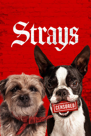 Strays 2023 HDRip