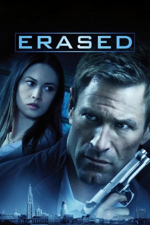 Erased 2012 Dual Audio