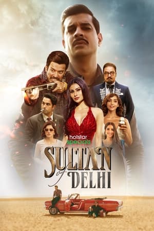 Sultan of Delhi S01 2023 Web Series Hindi