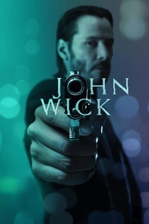 John Wick 2014 Dual Audio