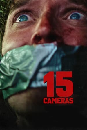 15 Cameras 2023 HDRip