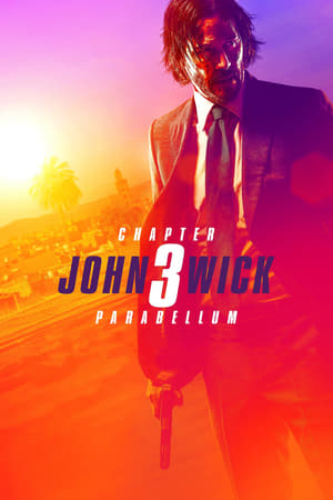 John Wick: Chapter 3 - Parabellum 2019 Dual Audio