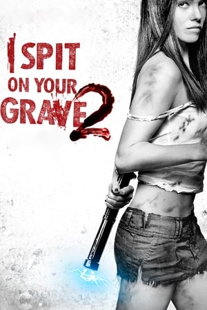 I Spit on Your Grave 2 (2013) Dual Audio Hindi