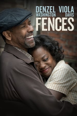 Fences 2016 Dual Audio