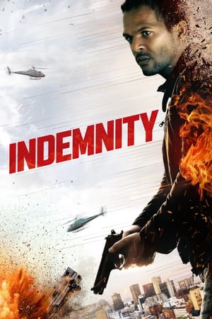 Indemnity 2021 BRRip Dual