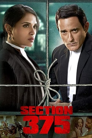 Section 375 2019 BRRip