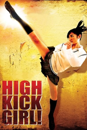 High Kick Girl 2009 Dual Audio