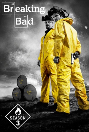 Breaking Bad S03 2010 Dual Audio