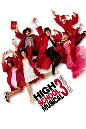 High School Musical 3: Senior Year 2008 Dual Audio