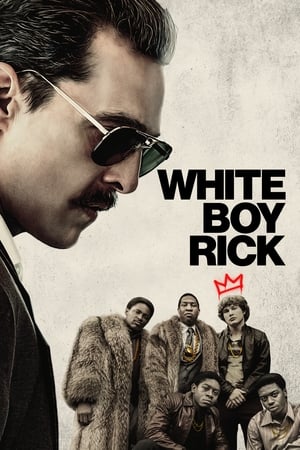 White Boy Rick 2018 Dual Audio Hindi