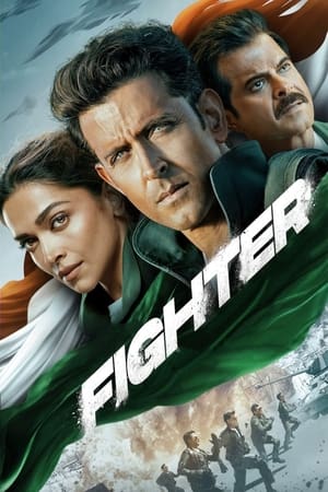 Fighter 2024 BRRIP