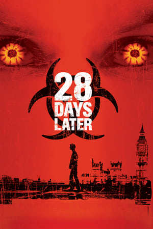 28 Days Later 2002 Dual Audio