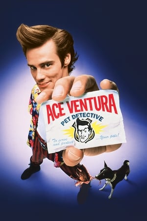 Ace Ventura: Pet Detective 1994 Dual Audio