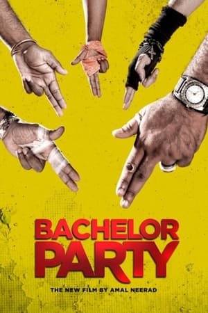 Bachelor Party 2012 Hindi Dubbed