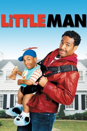 Little Man 2006 Dual Audio