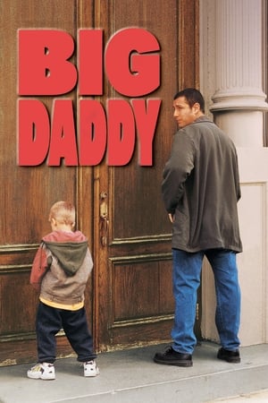 Big Daddy 1999 Dual Audio