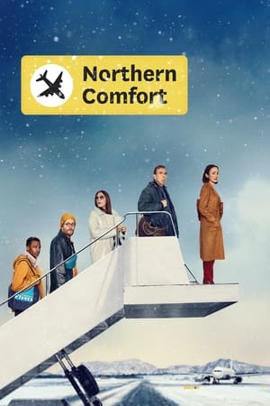 Northern Comfort 2024 HDRip