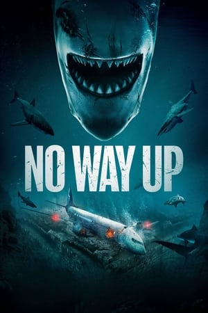 No Way Up (2024) Dual Audio Hindi