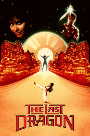 The Last Dragon 1985 Dual Audio