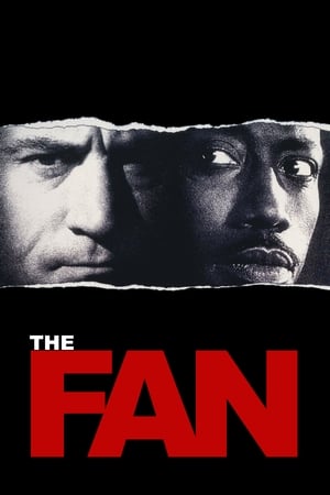 The Fan (1996) Dual Audio Hindi