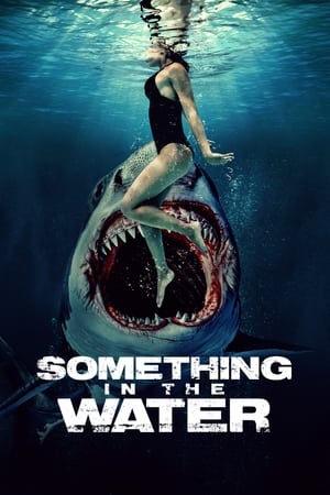 Something in the Water 2024 HDRip