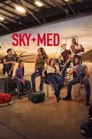 SkyMed S01 2022 Hindi