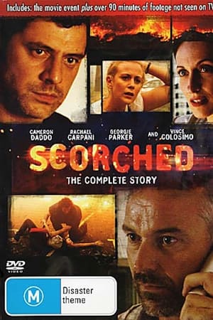 Scorched (2008) Dual Audio Hindi